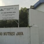 IMG-20260725-WA0018
